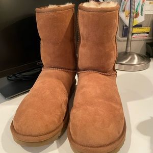 Classic short Ugg boot. Chestnut color